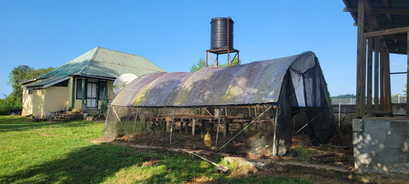 Tenth image of Grierfield Moneague, St. Ann in Moneague, St. Ann, Jamaica - property is For Sale