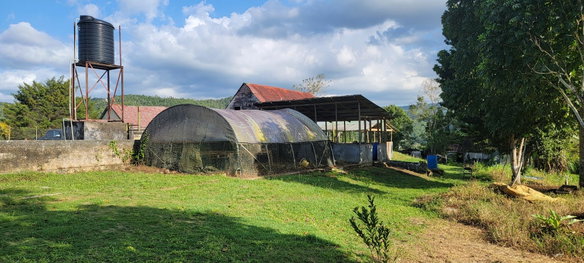 First image of Grierfield Moneague, St. Ann in Moneague, St. Ann, Jamaica - property is For Sale