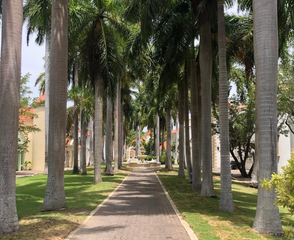 Second image of 7- Half Moon Village, Rose h in Montego Bay, St. James, Jamaica - property is For Rent