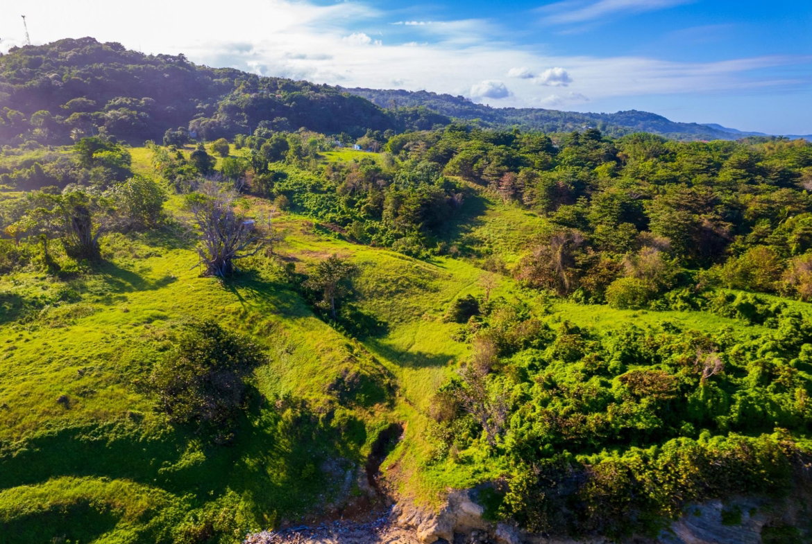 Tenth image of Ross Craig in Manchioneal, Portland, Jamaica - property is For Sale