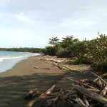 First image of Hermitage Farm in Hope Bay, Portland, Jamaica - property is For Sale