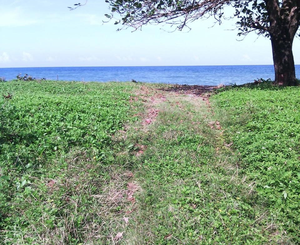 Third image of Hermitage Farm in Hope Bay, Portland, Jamaica - property is For Sale