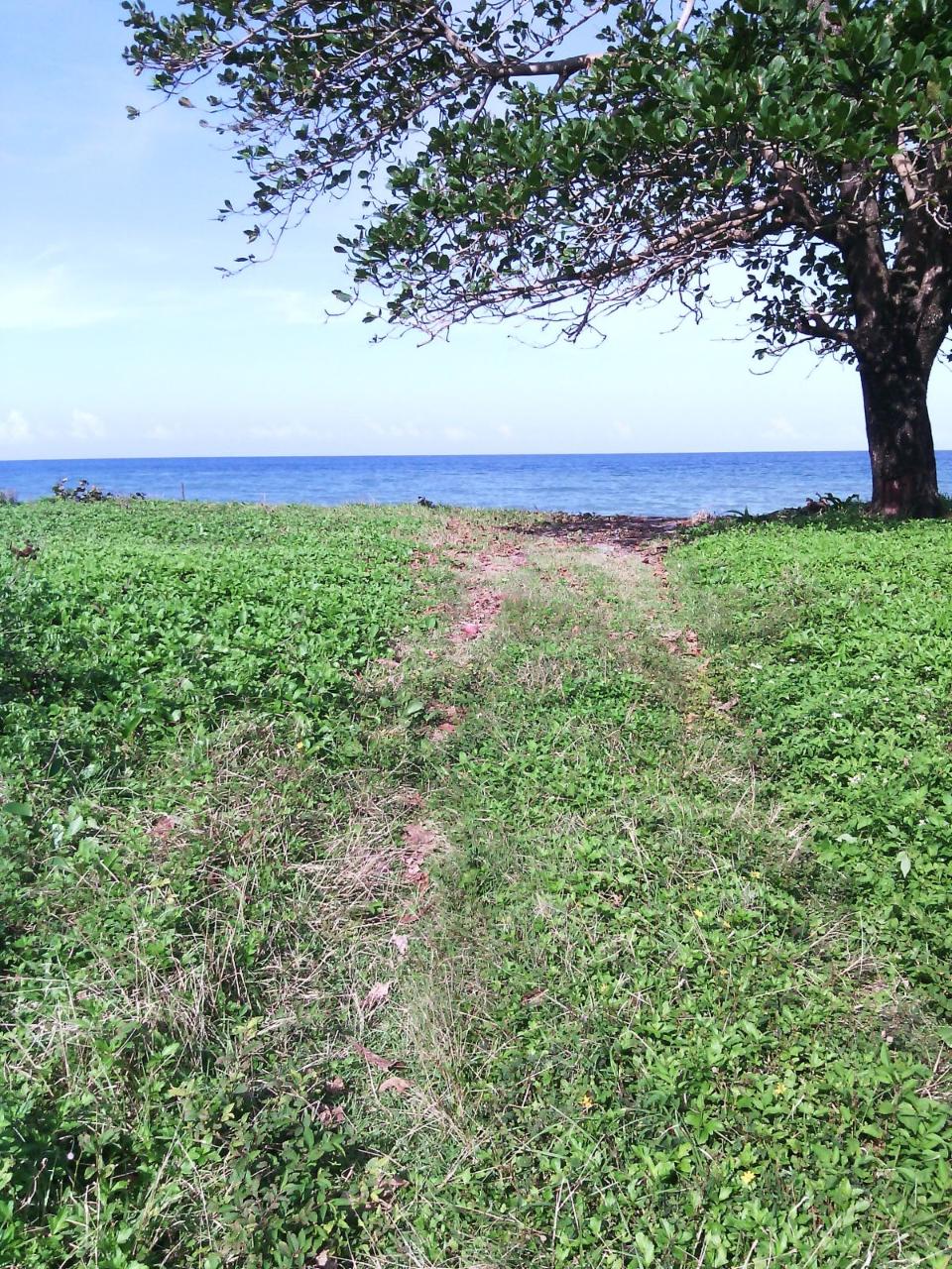 Hermitage-Farm-Residential-Lots-for-Sale-in-Portland-Jamaica Third image of Hermitage Farm in Hope Bay, Portland, Jamaica - property is For Sale