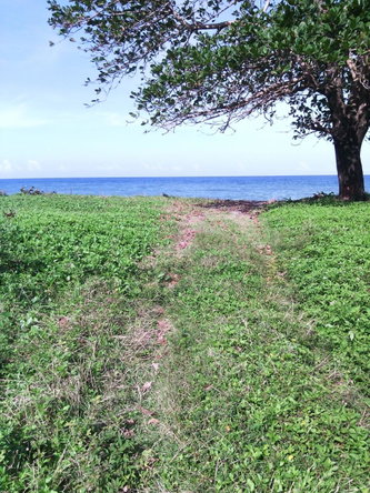 Third image of Hermitage Farm in Hope Bay, Portland, Jamaica - property is For Sale