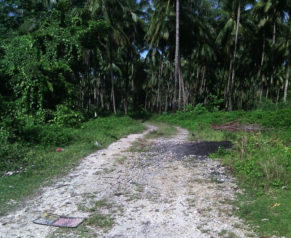 Fourth image of Hermitage Farm in Hope Bay, Portland, Jamaica - property is For Sale