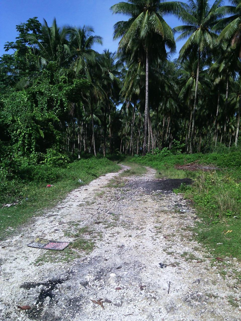 Hermitage-Farm-Residential-Lots-for-Sale-in-Portland-Jamaica Fourth image of Hermitage Farm in Hope Bay, Portland, Jamaica - property is For Sale