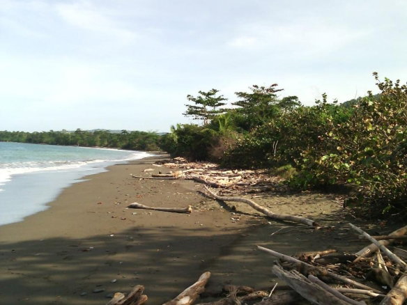 First image of Hermitage Farm in Hope Bay, Portland, Jamaica - property is For Sale