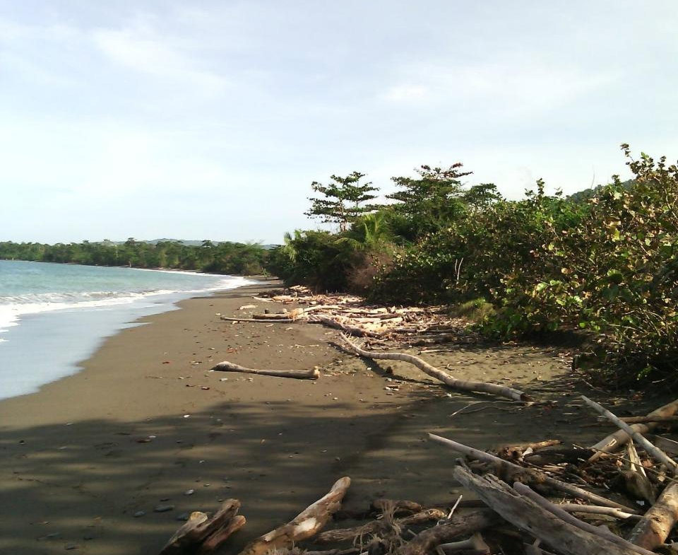 First image of Hermitage Farm in Hope Bay, Portland, Jamaica - property is For Sale