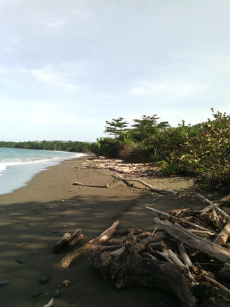 First image of Hermitage Farm in Hope Bay, Portland, Jamaica - property is For Sale