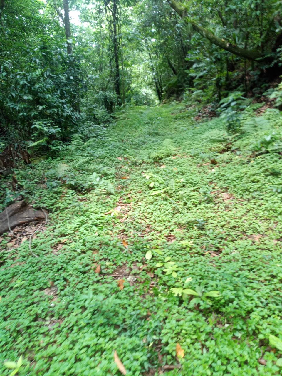 Second image of Keith Hall in Spanish Town, St. Catherine, Jamaica - property is For Sale