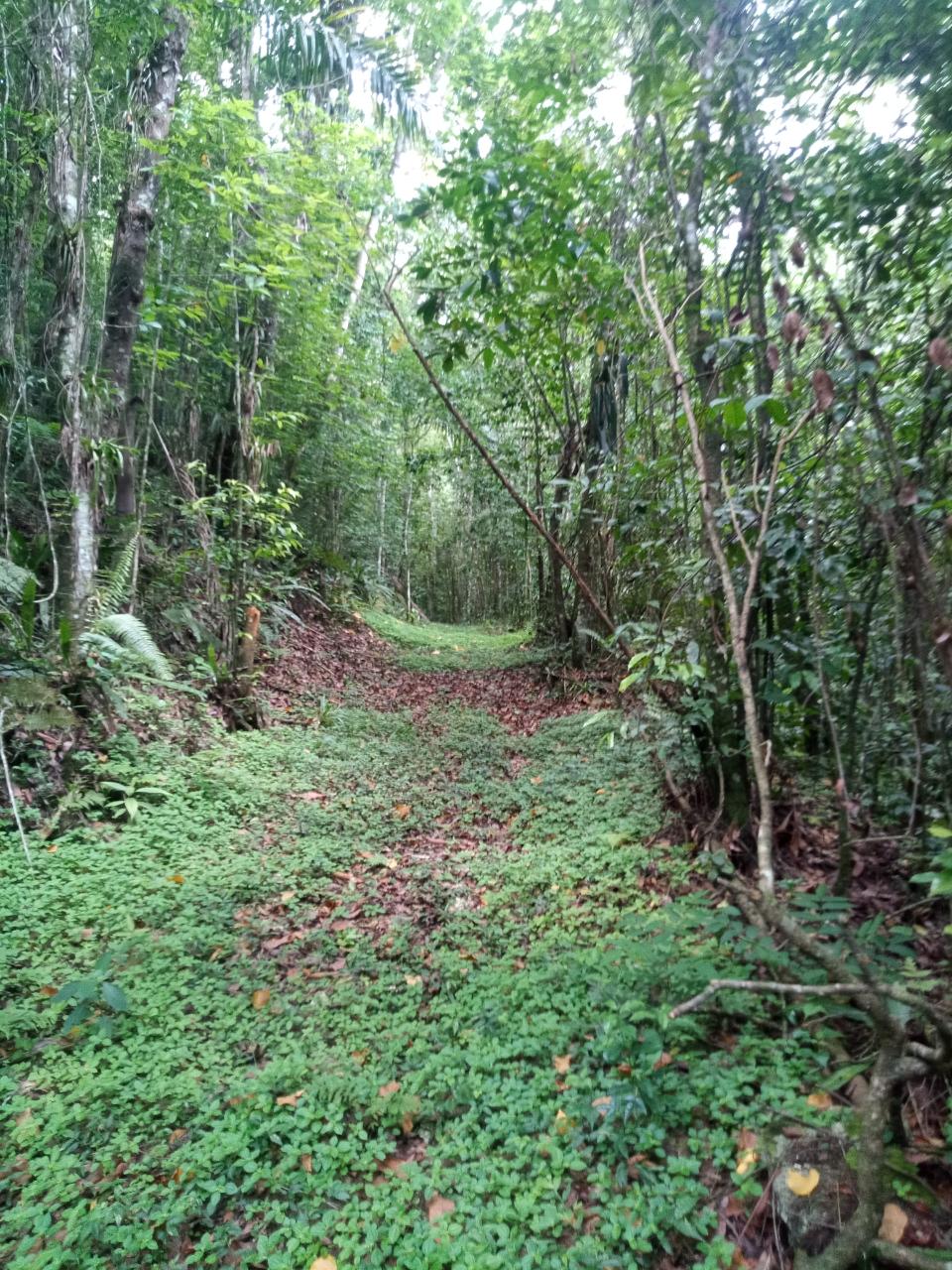 Fourth image of Keith Hall in Spanish Town, St. Catherine, Jamaica - property is For Sale