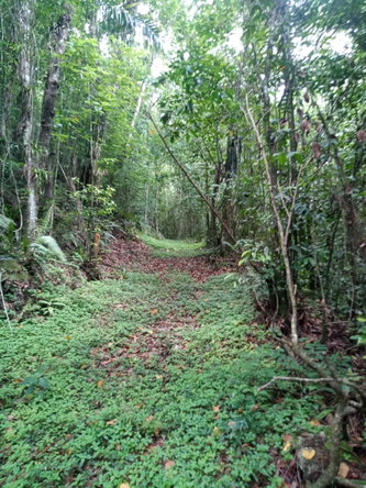 Fourth image of Keith Hall in Spanish Town, St. Catherine, Jamaica - property is For Sale