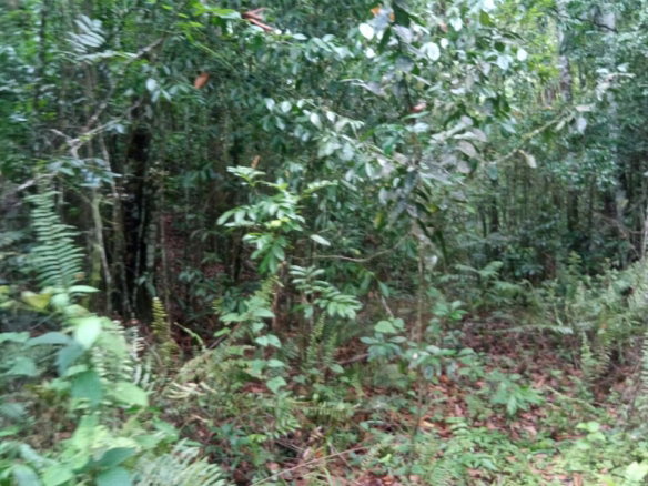 First image of Keith Hall in Spanish Town, St. Catherine, Jamaica - property is For Sale