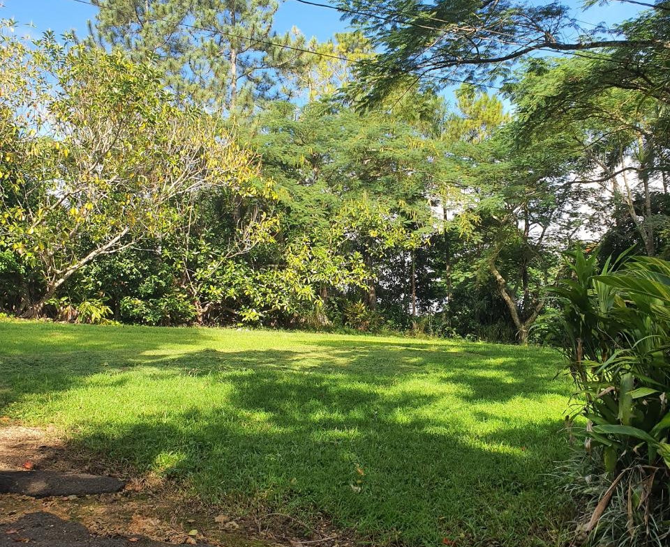 Third image of Main Street Christiana, m in Christiana, Manchester, Jamaica - property is For Sale