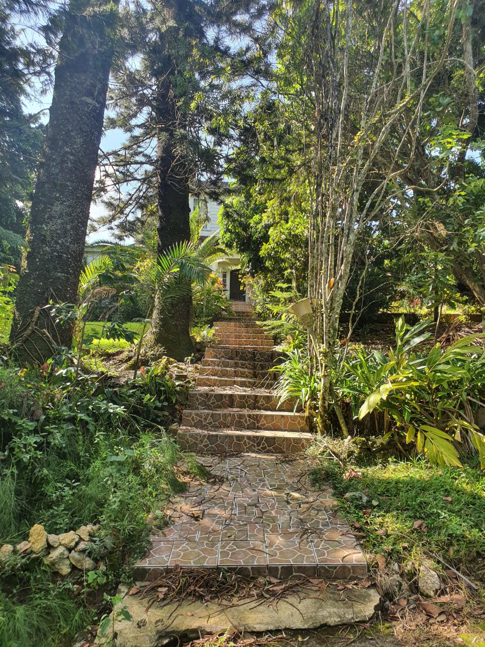 Fourth image of Main Street Christiana, m in Christiana, Manchester, Jamaica - property is For Sale