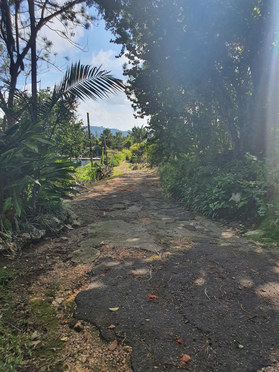 Fifth image of Main Street Christiana, m in Christiana, Manchester, Jamaica - property is For Sale
