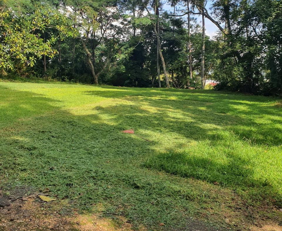 Sixth image of Main Street Christiana, m in Christiana, Manchester, Jamaica - property is For Sale