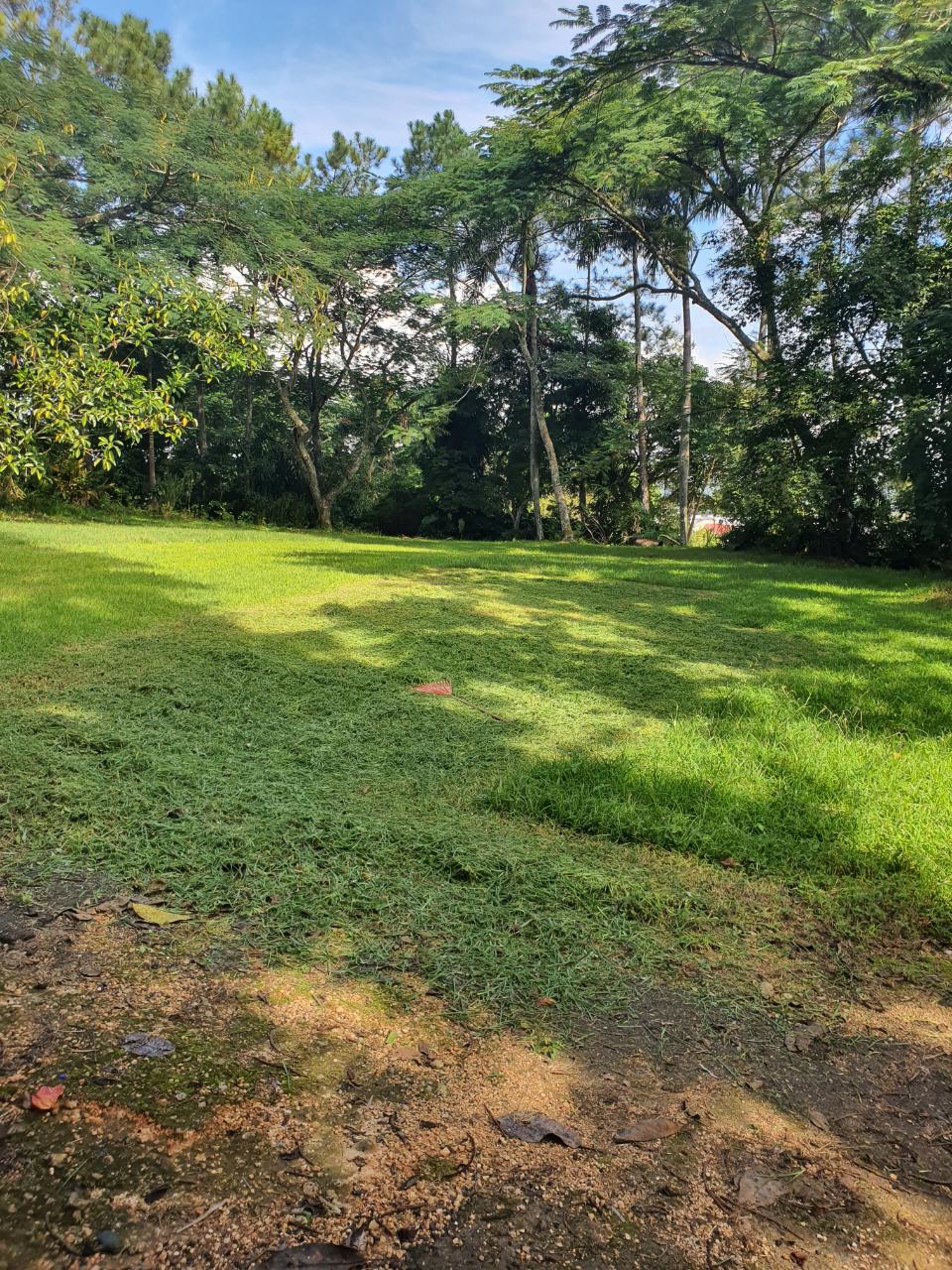 Sixth image of Main Street Christiana, m in Christiana, Manchester, Jamaica - property is For Sale