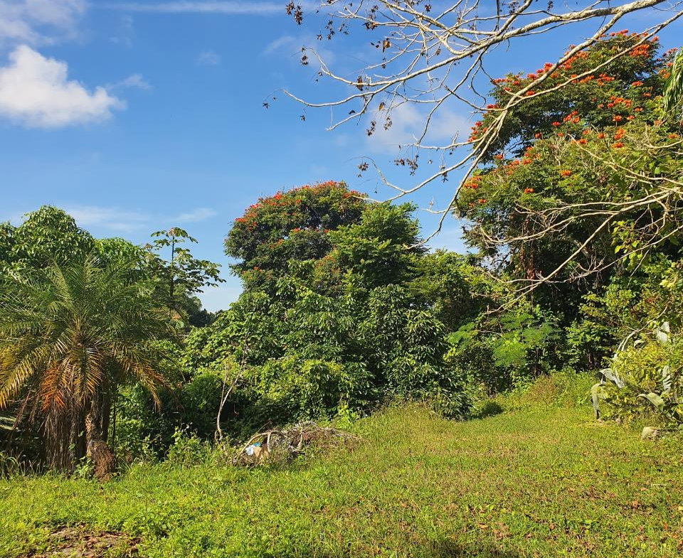Seventh image of Main Street Christiana, m in Christiana, Manchester, Jamaica - property is For Sale