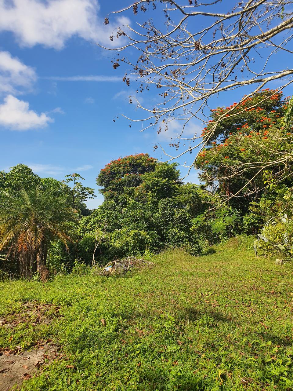 Seventh image of Main Street Christiana, m in Christiana, Manchester, Jamaica - property is For Sale
