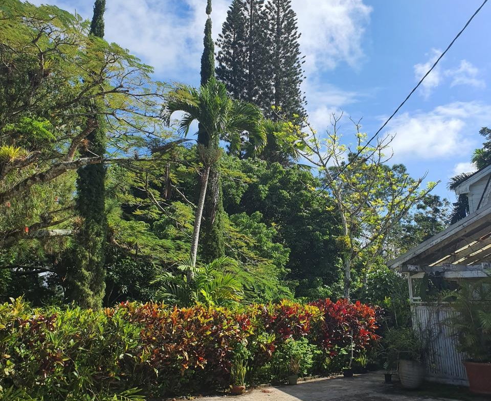 Eighth image of Main Street Christiana, m in Christiana, Manchester, Jamaica - property is For Sale