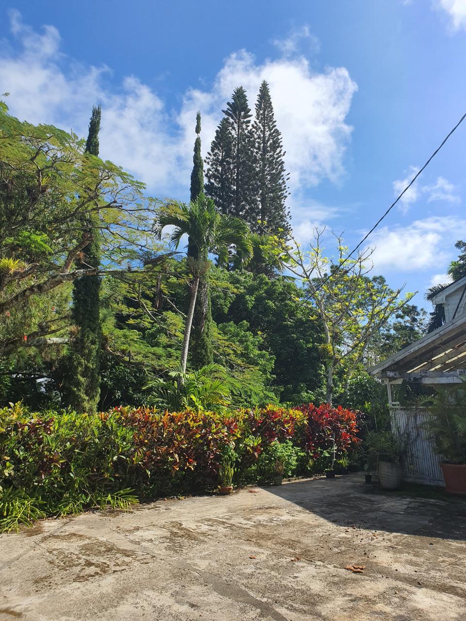 Eighth image of Main Street Christiana, m in Christiana, Manchester, Jamaica - property is For Sale