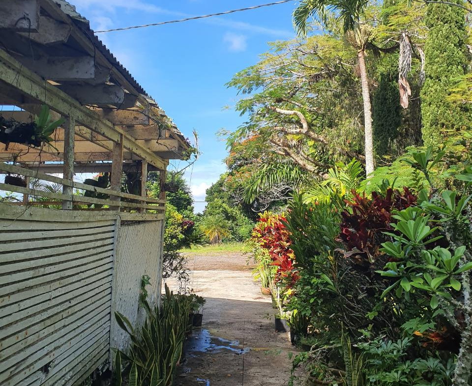 Ninth image of Main Street Christiana, m in Christiana, Manchester, Jamaica - property is For Sale