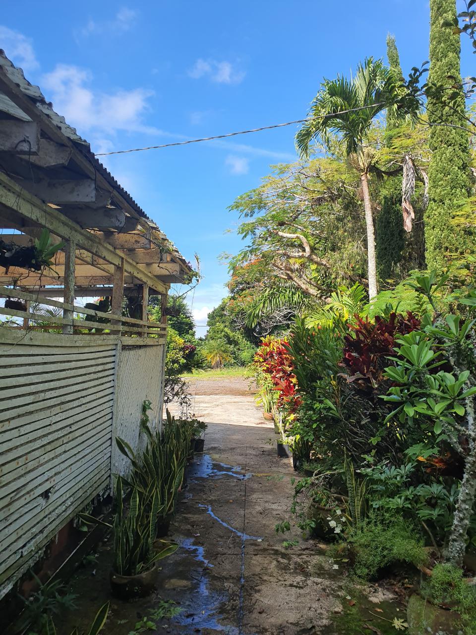 Ninth image of Main Street Christiana, m in Christiana, Manchester, Jamaica - property is For Sale