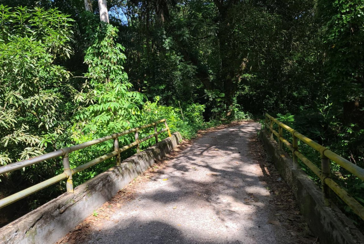 Eleventh image of Orange River, Montego Bay in Montego Bay, St. James, Jamaica - property is For Sale