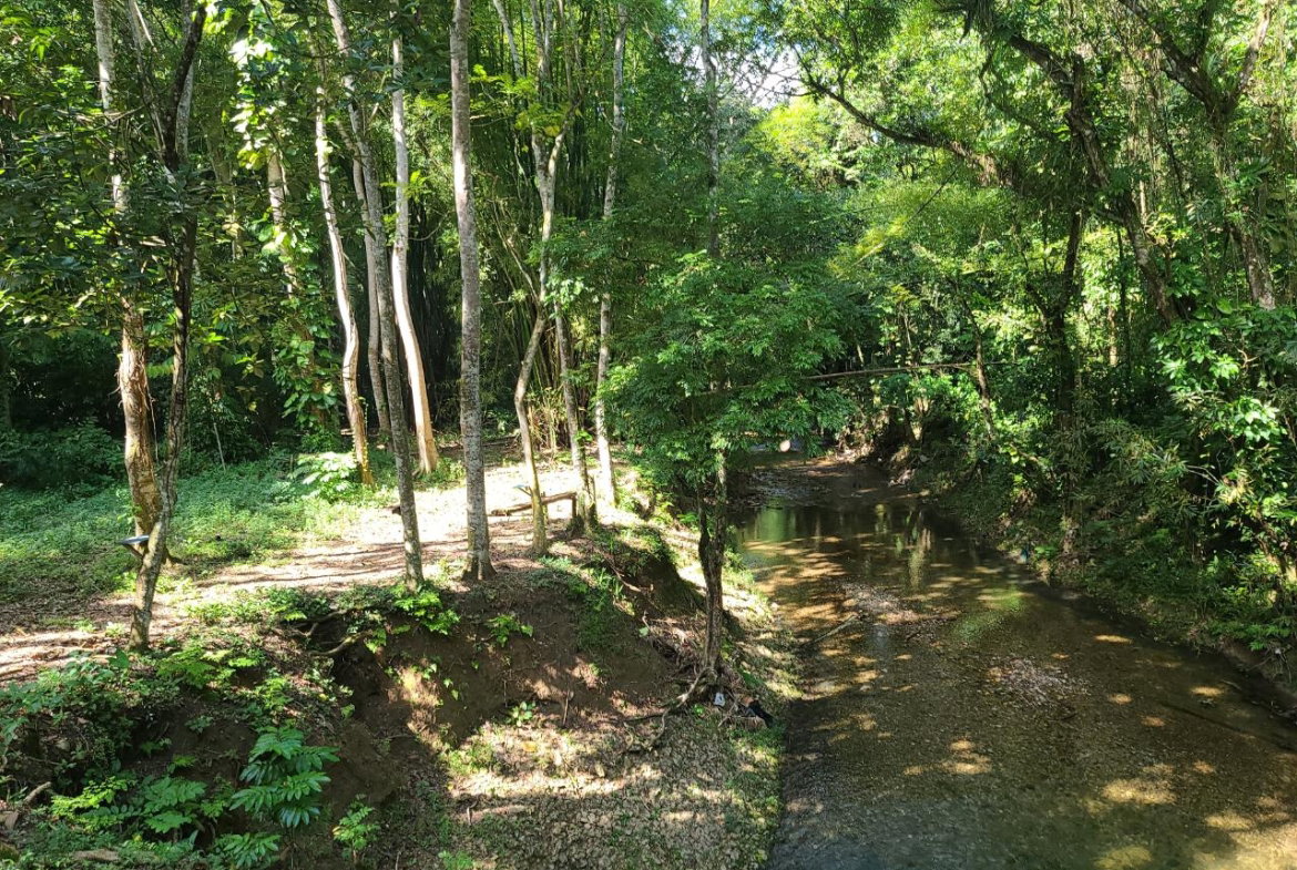 Thirteenth image of Orange River, Montego Bay in Montego Bay, St. James, Jamaica - property is For Sale
