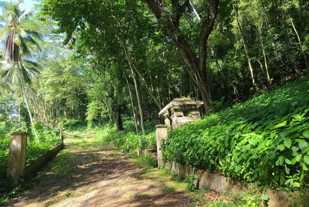 Fourteenth image of Orange River, Montego Bay in Montego Bay, St. James, Jamaica - property is For Sale