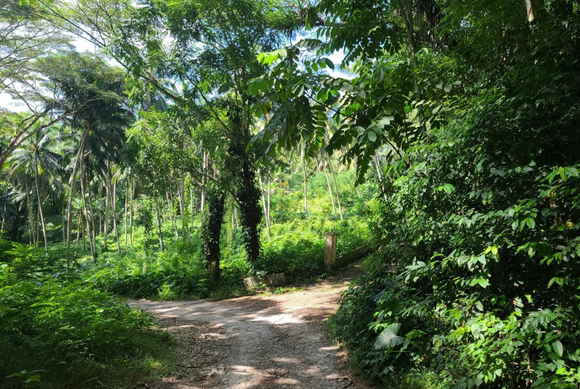 Fifteenth image of Orange River, Montego Bay in Montego Bay, St. James, Jamaica - property is For Sale