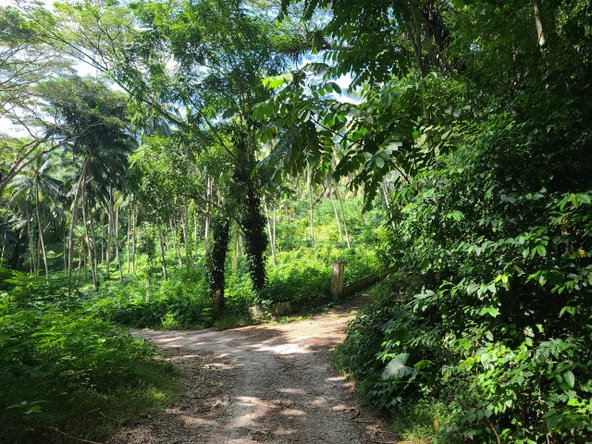 Fifteenth image of Orange River, Montego Bay in Montego Bay, St. James, Jamaica - property is For Sale
