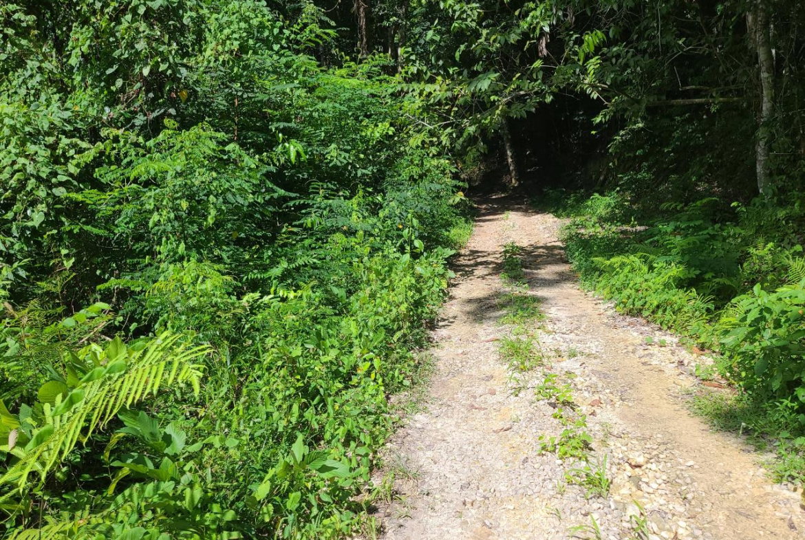 Sixteenth image of Orange River, Montego Bay in Montego Bay, St. James, Jamaica - property is For Sale