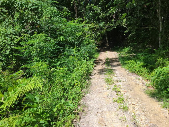 Sixteenth image of Orange River, Montego Bay in Montego Bay, St. James, Jamaica - property is For Sale