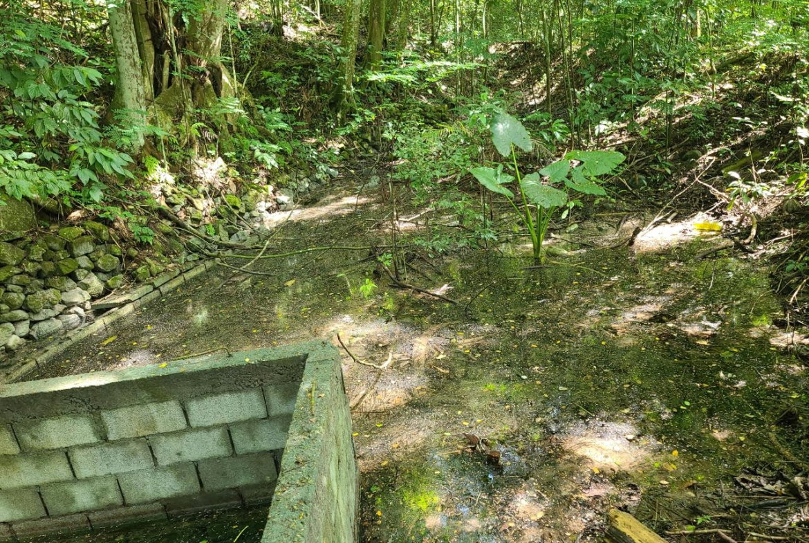 Eighteenth image of Orange River, Montego Bay in Montego Bay, St. James, Jamaica - property is For Sale