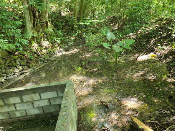 Eighteenth image of Orange River, Montego Bay in Montego Bay, St. James, Jamaica - property is For Sale