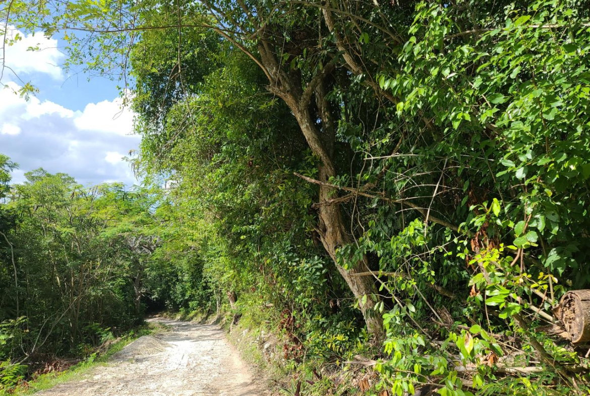 Twentieth image of Orange River, Montego Bay in Montego Bay, St. James, Jamaica - property is For Sale
