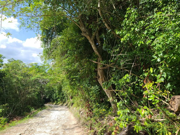 Twentieth image of Orange River, Montego Bay in Montego Bay, St. James, Jamaica - property is For Sale