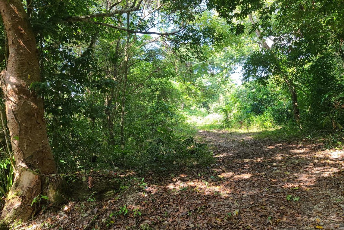 Twenty-First image of Orange River, Montego Bay in Montego Bay, St. James, Jamaica - property is For Sale