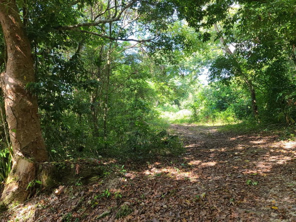 Twenty-First image of Orange River, Montego Bay in Montego Bay, St. James, Jamaica - property is For Sale