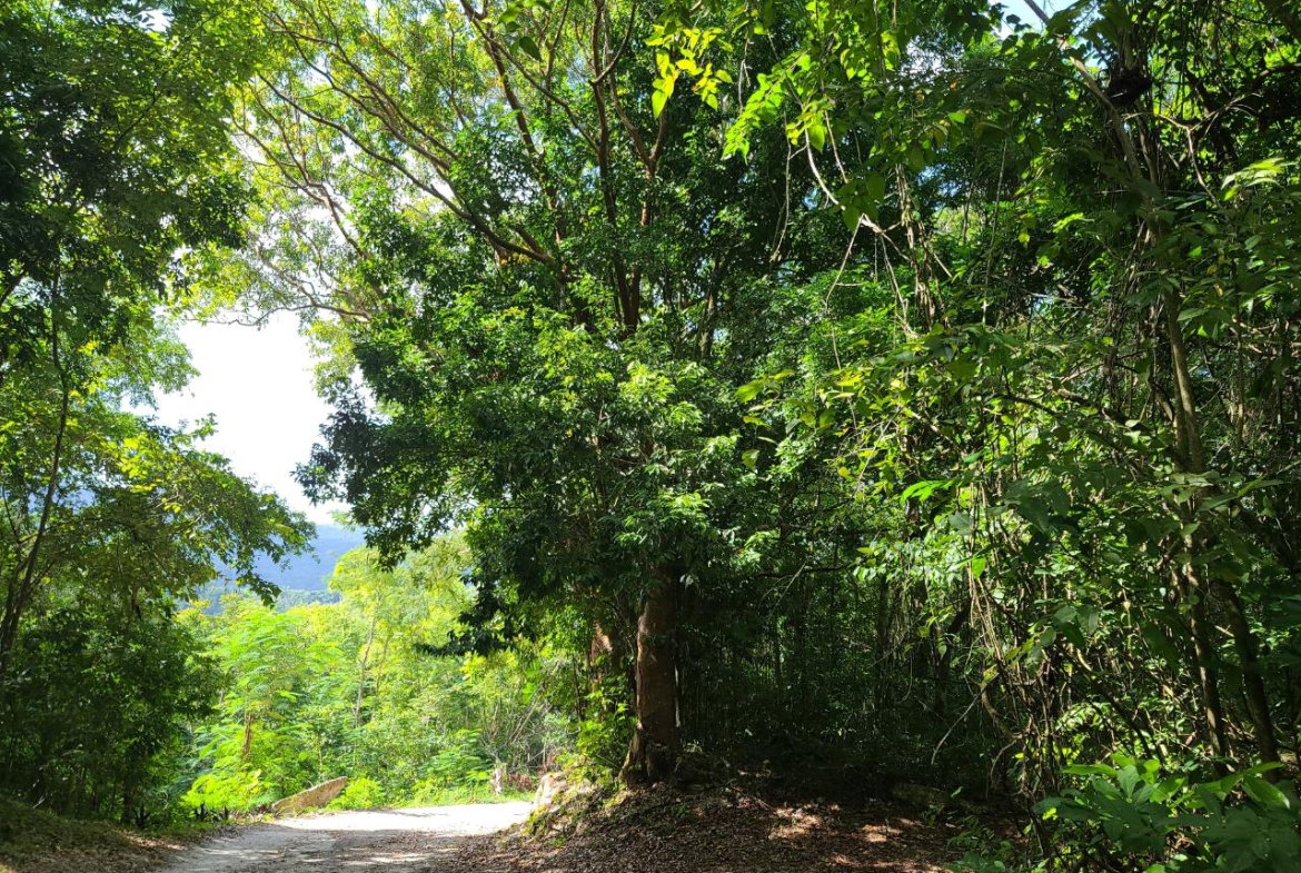 Twenty-Second image of Orange River, Montego Bay in Montego Bay, St. James, Jamaica - property is For Sale