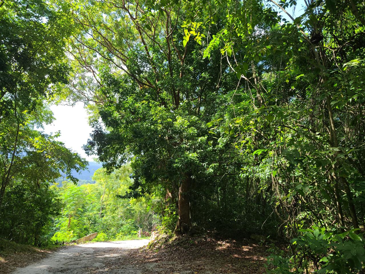 Twenty-Second image of Orange River, Montego Bay in Montego Bay, St. James, Jamaica - property is For Sale