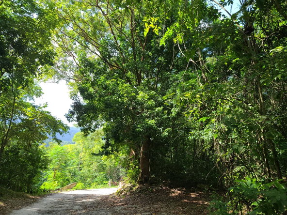 Twenty-Second image of Orange River, Montego Bay in Montego Bay, St. James, Jamaica - property is For Sale
