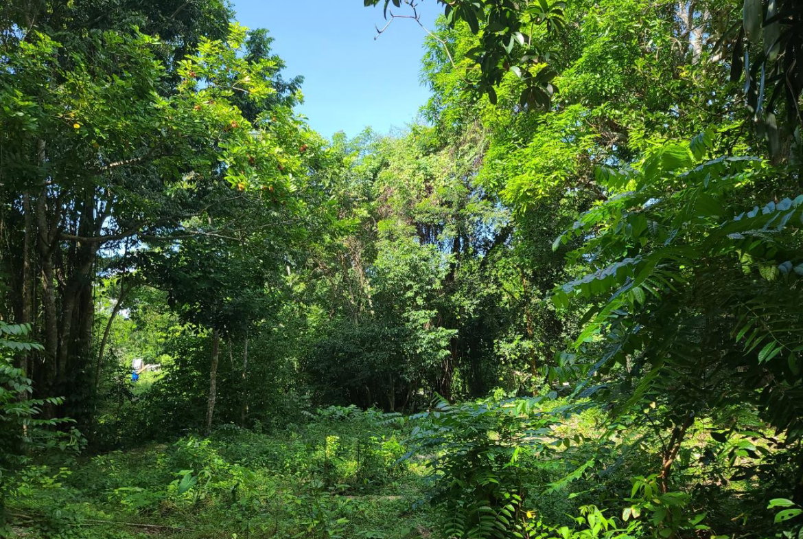 Twenty-Third image of Orange River, Montego Bay in Montego Bay, St. James, Jamaica - property is For Sale