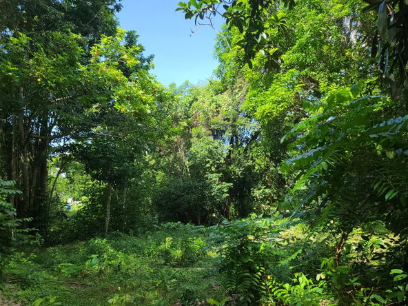 Twenty-Third image of Orange River, Montego Bay in Montego Bay, St. James, Jamaica - property is For Sale