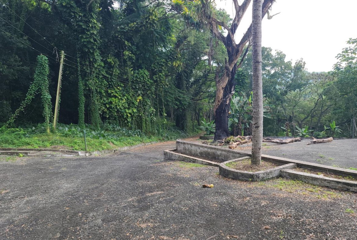 Twenty-Sixth image of Orange River, Montego Bay in Montego Bay, St. James, Jamaica - property is For Sale