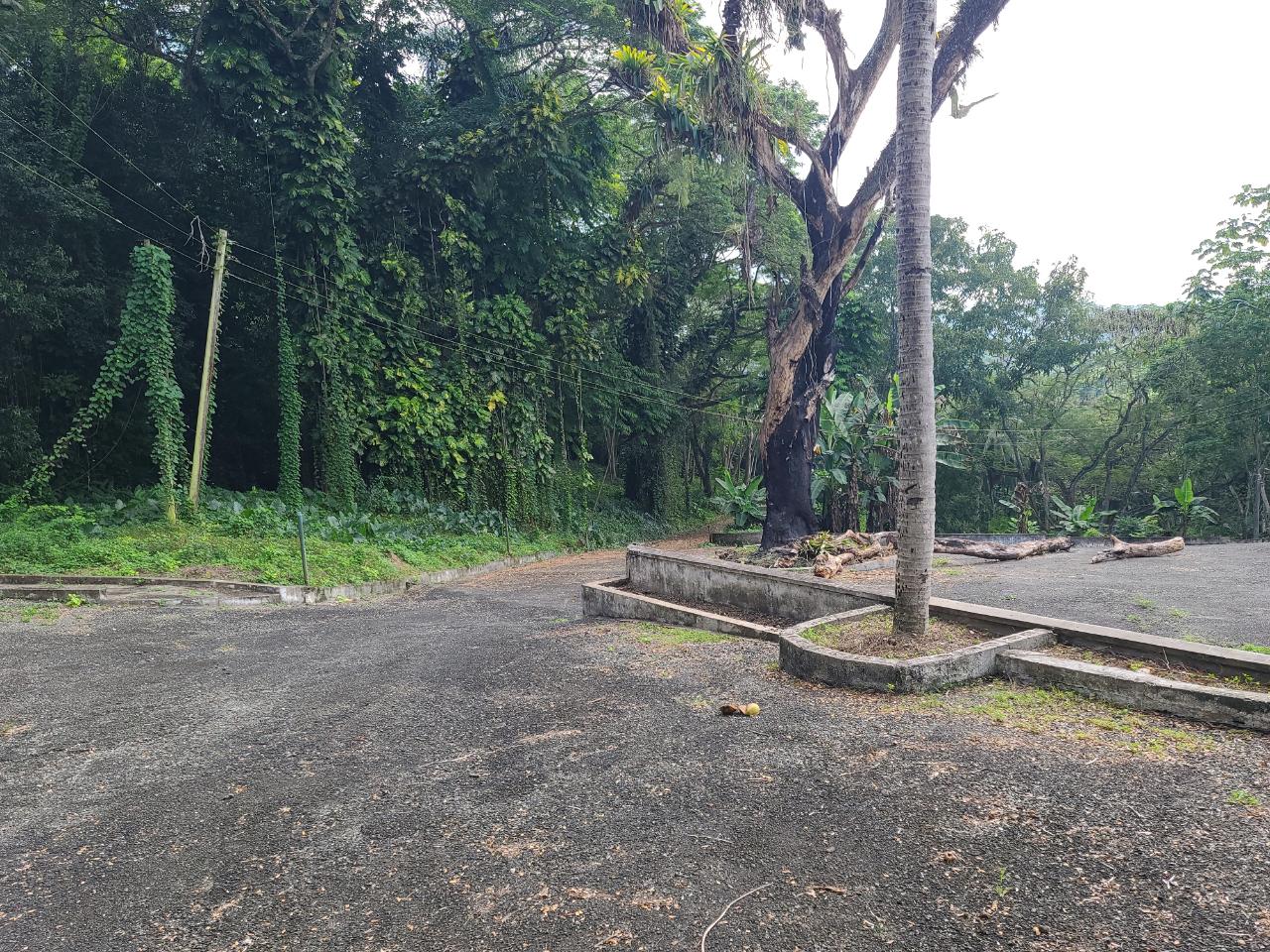 Twenty-Sixth image of Orange River, Montego Bay in Montego Bay, St. James, Jamaica - property is For Sale