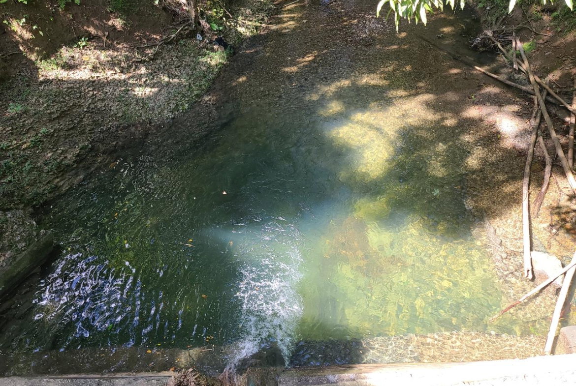 Fourth image of Orange River, Montego Bay in Montego Bay, St. James, Jamaica - property is For Sale