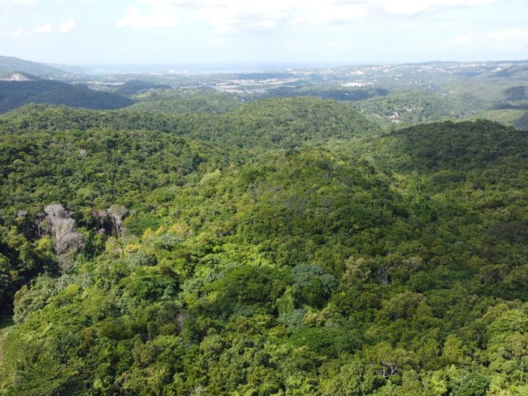 First image of Orange River, Montego Bay in Montego Bay, St. James, Jamaica - property is For Sale